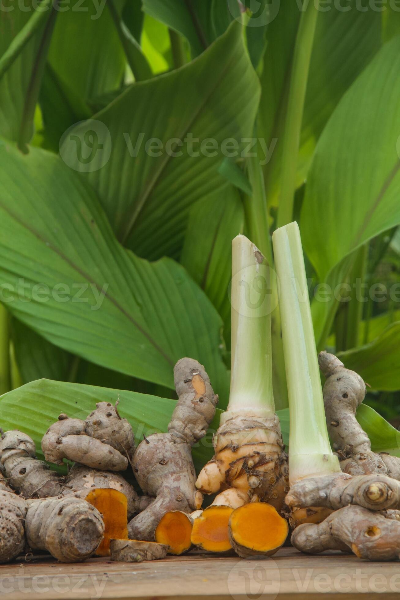 Curcuma — Safran des Indes / Curcuma